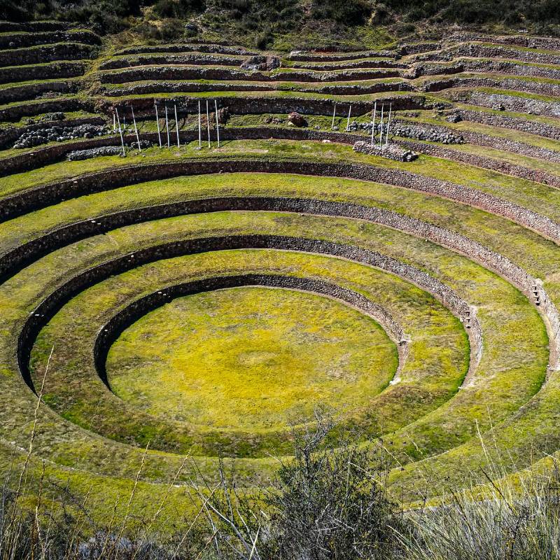 maras moray