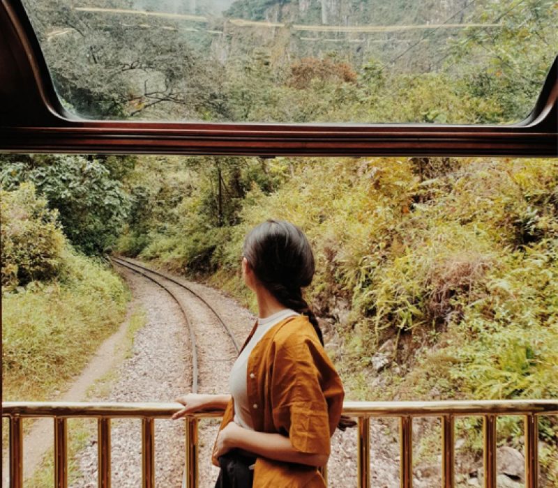 Recorrido en tren Observatory